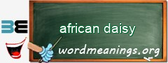 WordMeaning blackboard for african daisy